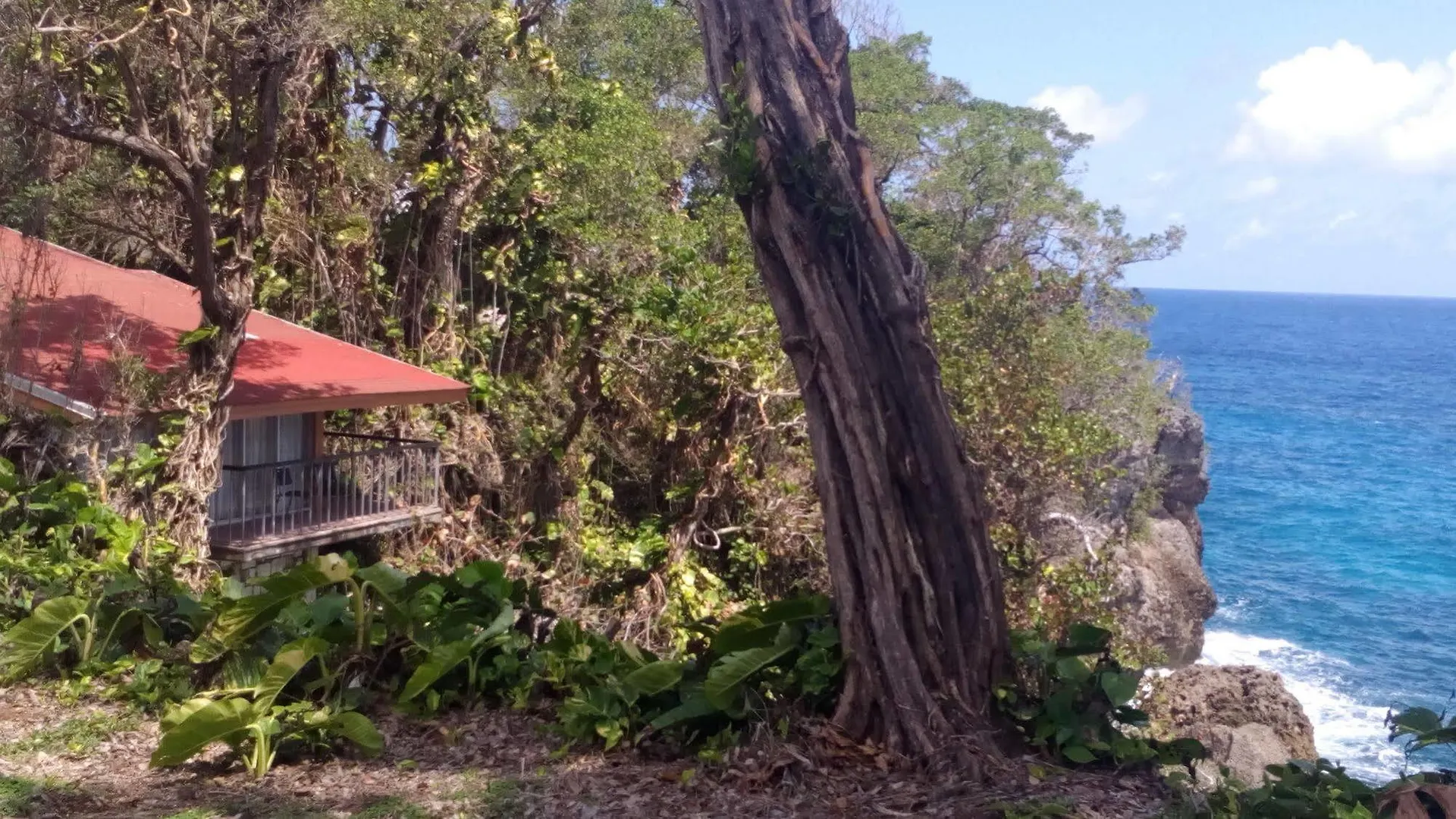 Frenchman'S Cove Hotel Port Antonio